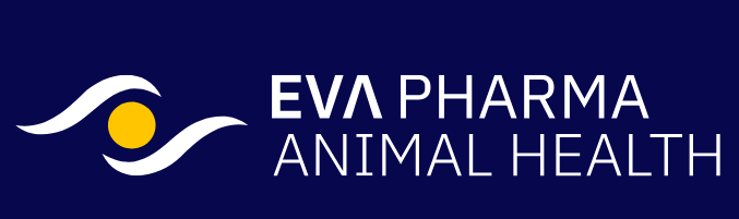 Screenshot 2023 12 23 152943