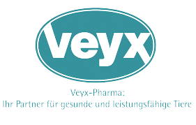 Download 2 Copy Removebg Preview